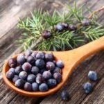 Juniper Berries